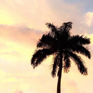 Meet your Posher, Adolfo